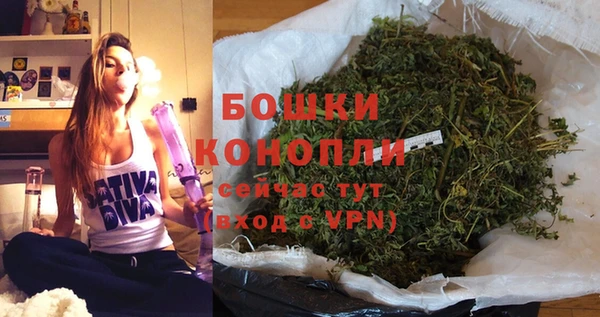 дурь Надым