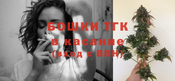 дурь Надым