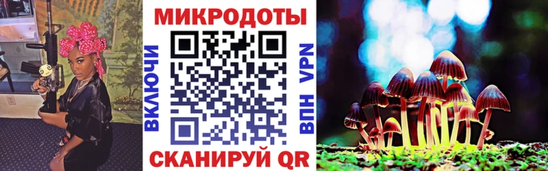 где купить наркоту  Южа  Псилоцибиновые грибы ЛСД 