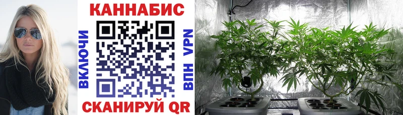 цены   Южа  Шишки марихуана VHQ 